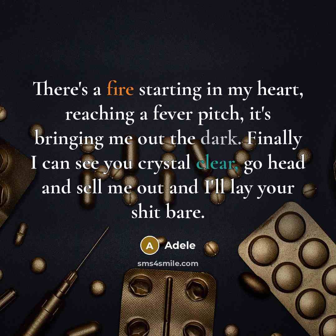“There's a fire starting in my heart, reaching a fever pitch, it's bringing me out the dark. Finally I can see you crystal clear, go head and sell me out and I'll lay your shit bare.” quote by Adele