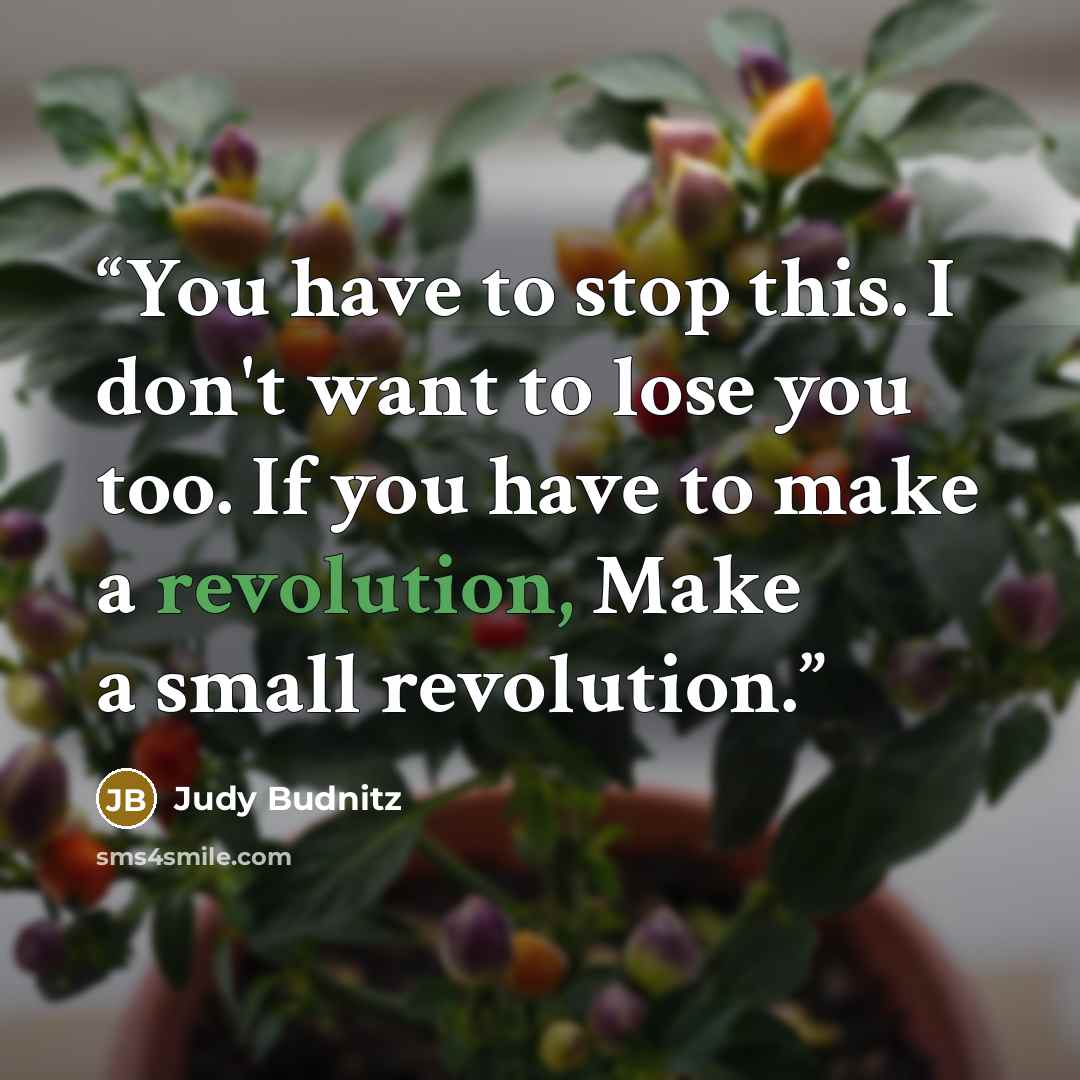 “You have to stop this. I don't want to lose you too. If you have to make a revolution, Make a small revolution.” quote by Judy Budnitz