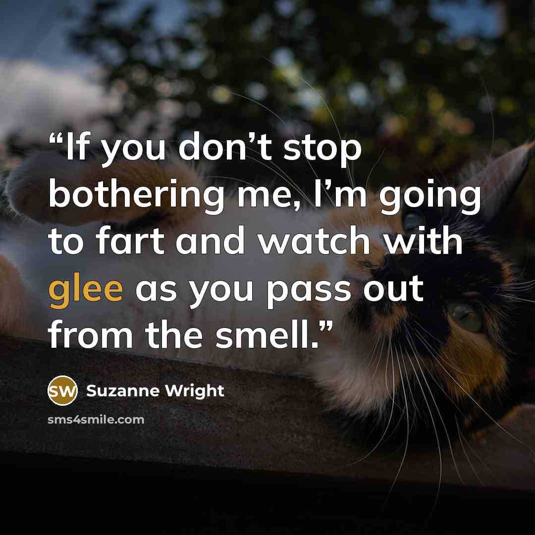 “If you don’t stop bothering me, I’m going to fart and watch with glee as you pass out from the smell.” quote by Suzanne Wright