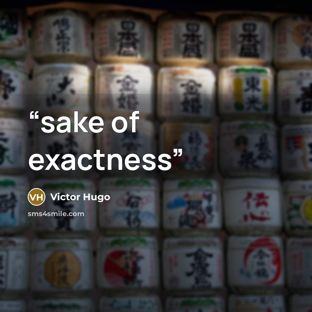 “sake of exactness” quote by Victor Hugo