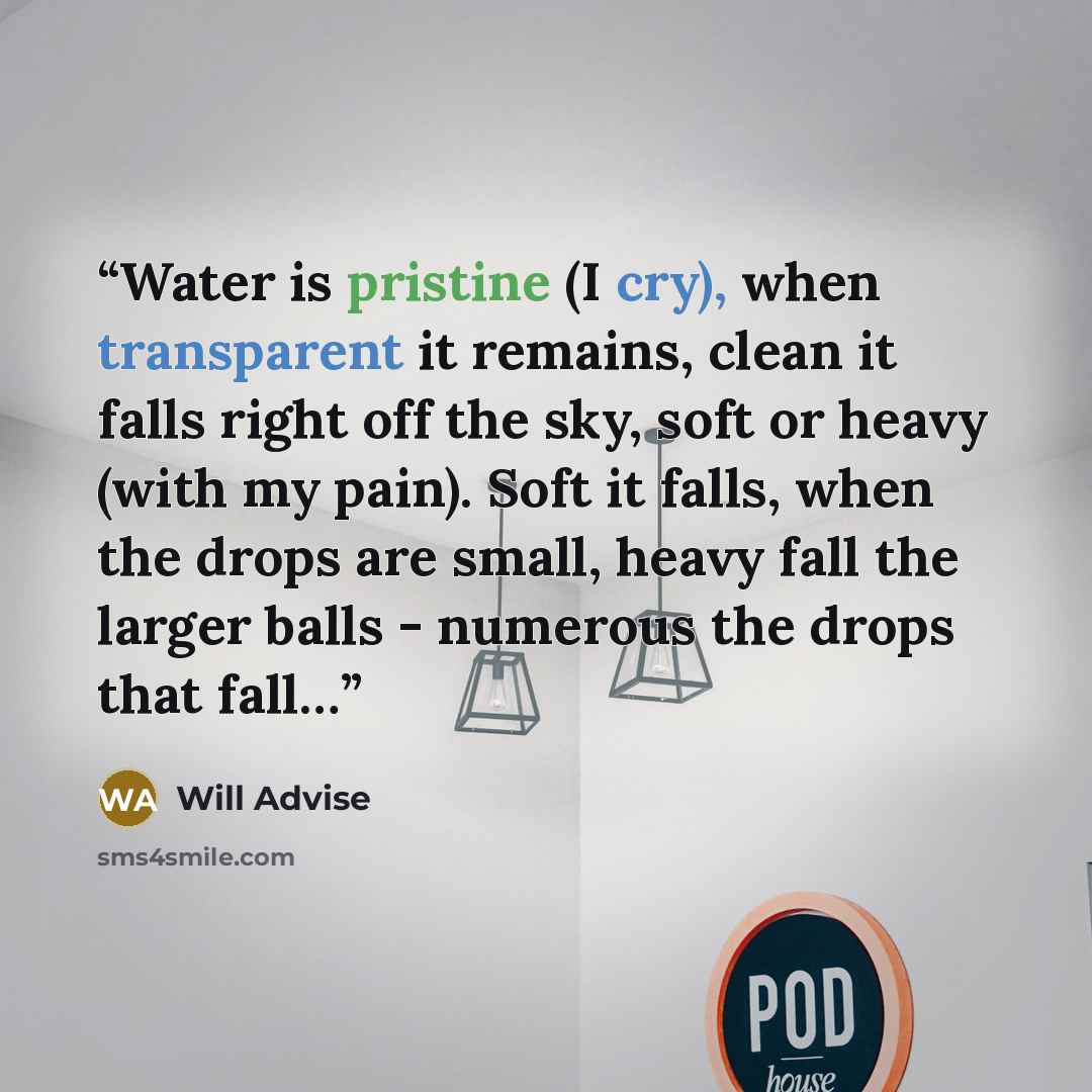 “Water is pristine (I cry), when transparent it remains, clean it falls right off the sky, soft or heavy (with my pain). Soft it falls, when the drops are small, heavy fall the larger balls - numerous the drops that fall…” quote by Will Advise