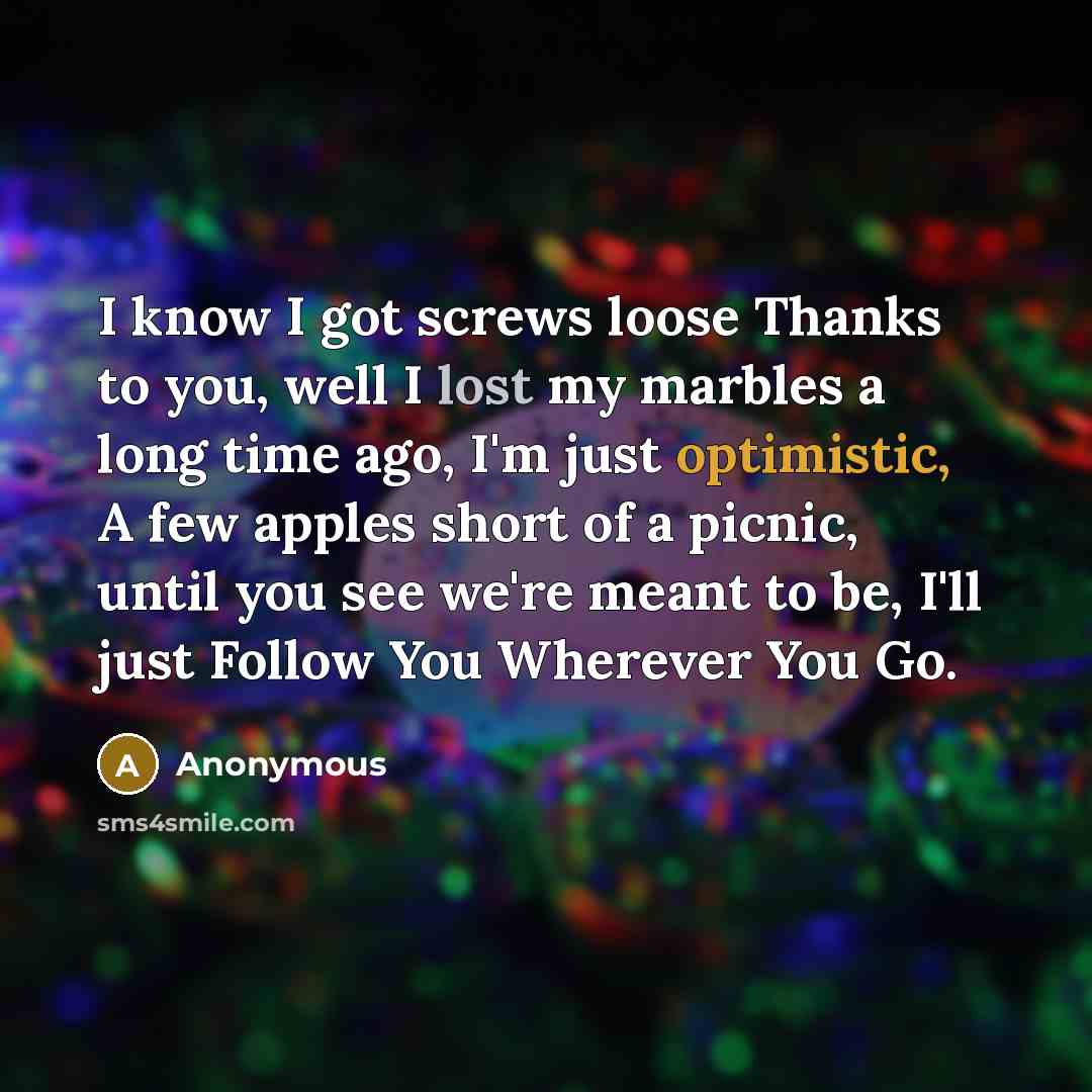 “I know I got screws loose Thanks to you, well I lost my marbles a long time ago, I'm just optimistic, A few apples short of a picnic, until you see we're meant to be, I'll just Follow You Wherever You Go.” quote by Anonymous