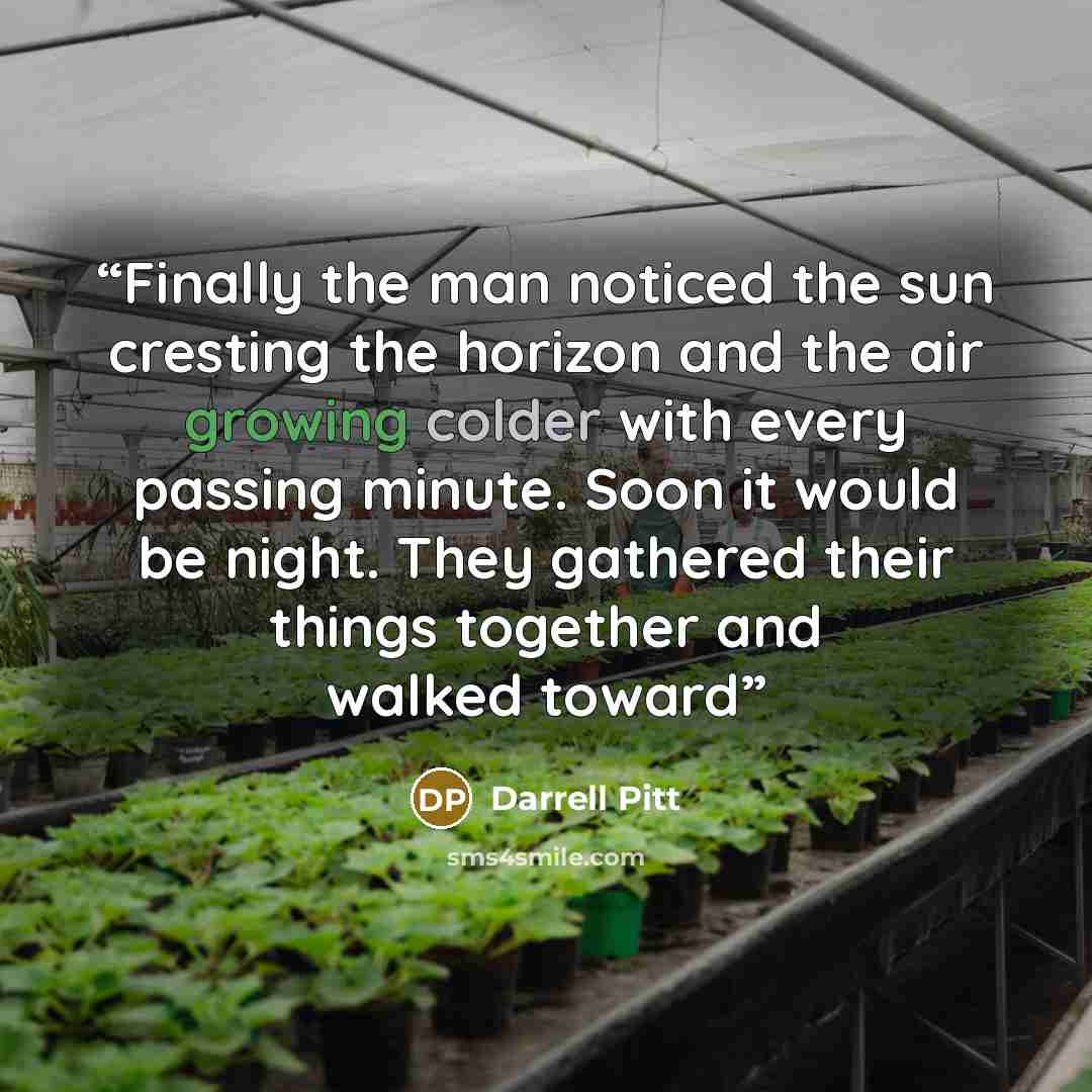 “Finally the man noticed the sun cresting the horizon and the air growing colder with every passing minute. Soon it would be night. They gathered their things together and walked toward” quote by Darrell Pitt
