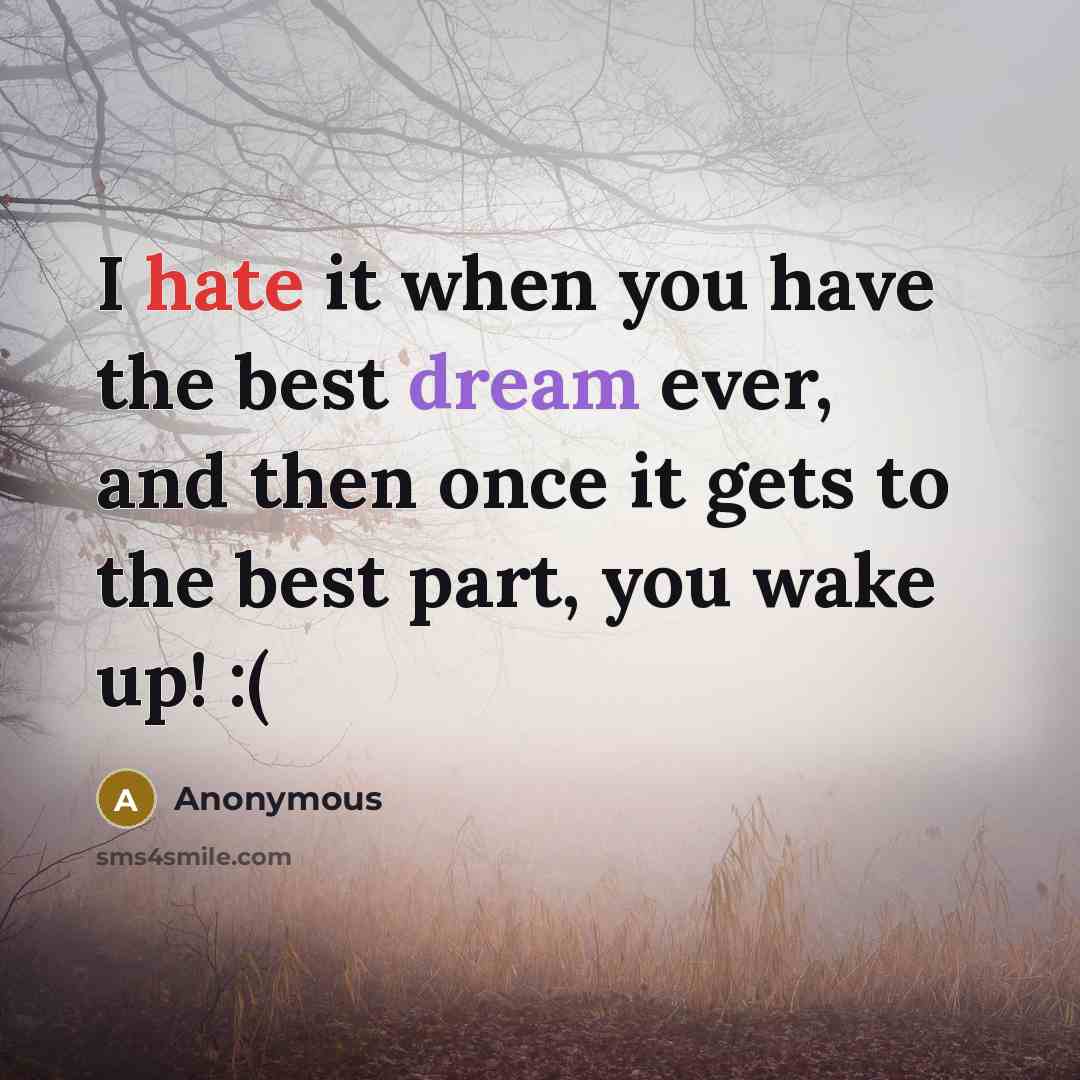 “I hate it when you have the best dream ever, and then once it gets to the best part, you wake up! :(” quote by Anonymous