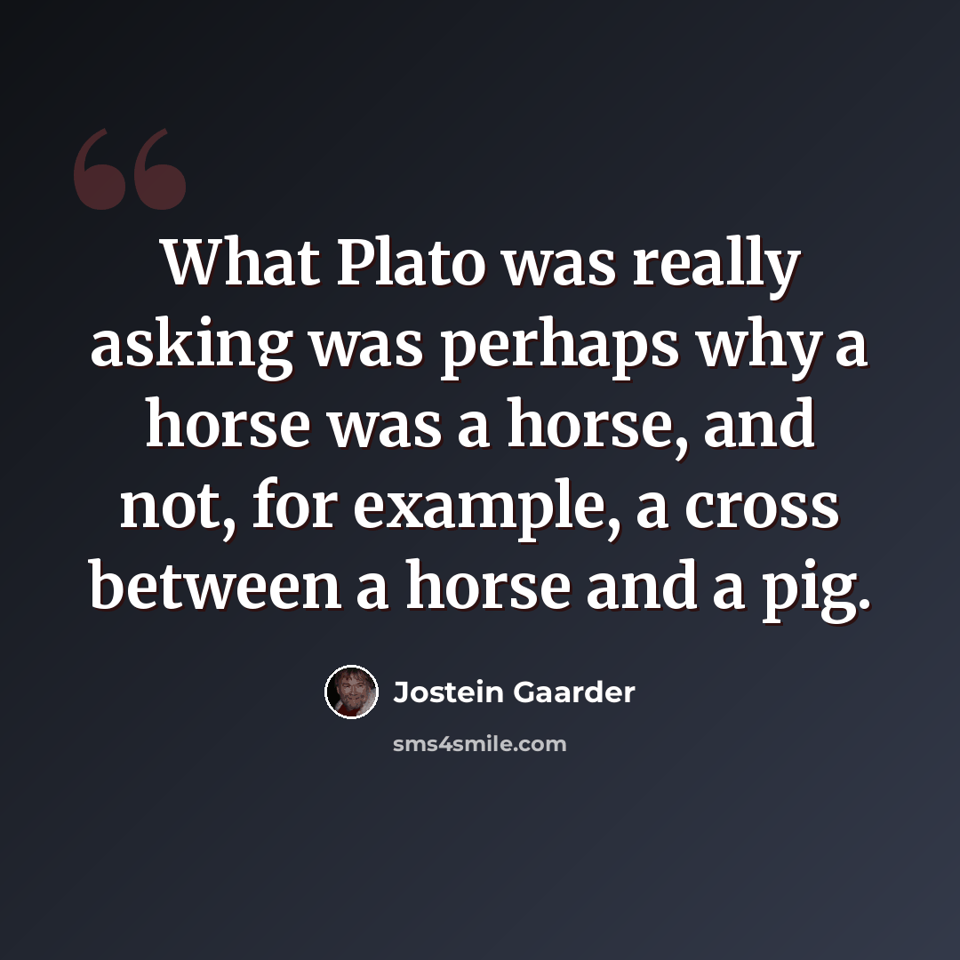 “What Plato was really asking was perhaps why a horse was a horse, and not, for example, a cross between a horse and a pig.” quote by Jostein Gaarder