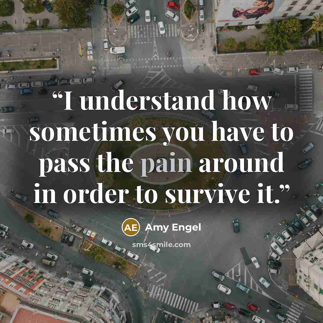 “I understand how sometimes you have to pass the pain around in order to survive it.” quote by Amy Engel