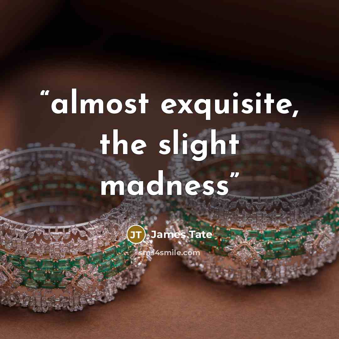 “almost exquisite, the slight madness” quote by James Tate