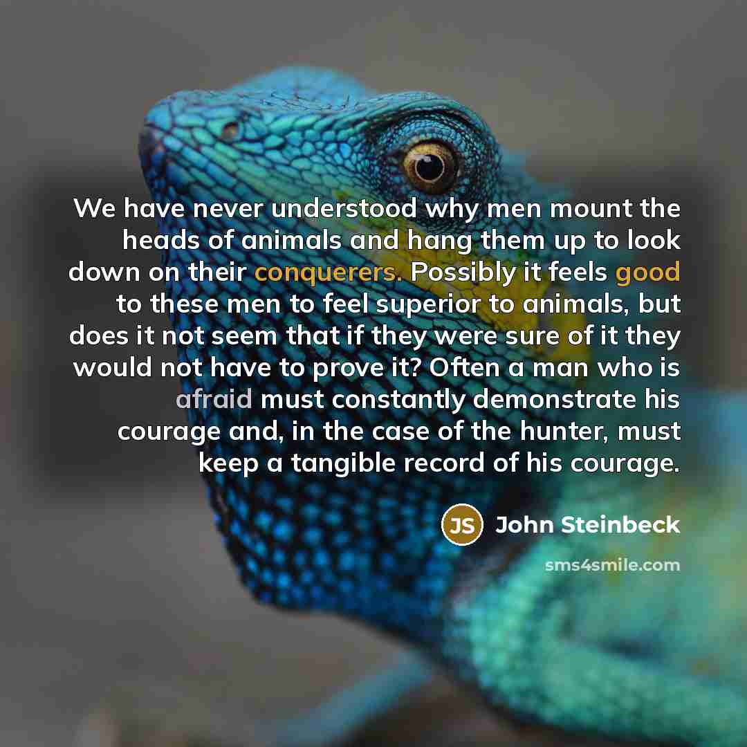 “We have never understood why men mount the heads of animals and hang them up to look down on their conquerers. Possibly it feels good to these men to feel superior to animals, but does it not seem that if they were sure of it they would not have to prove it? Often a man who is afraid must…” quote by John Steinbeck
