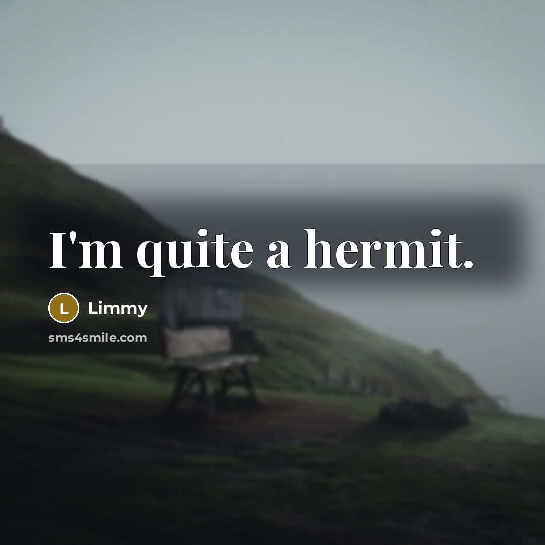 “I'm quite a hermit.” quote by Limmy