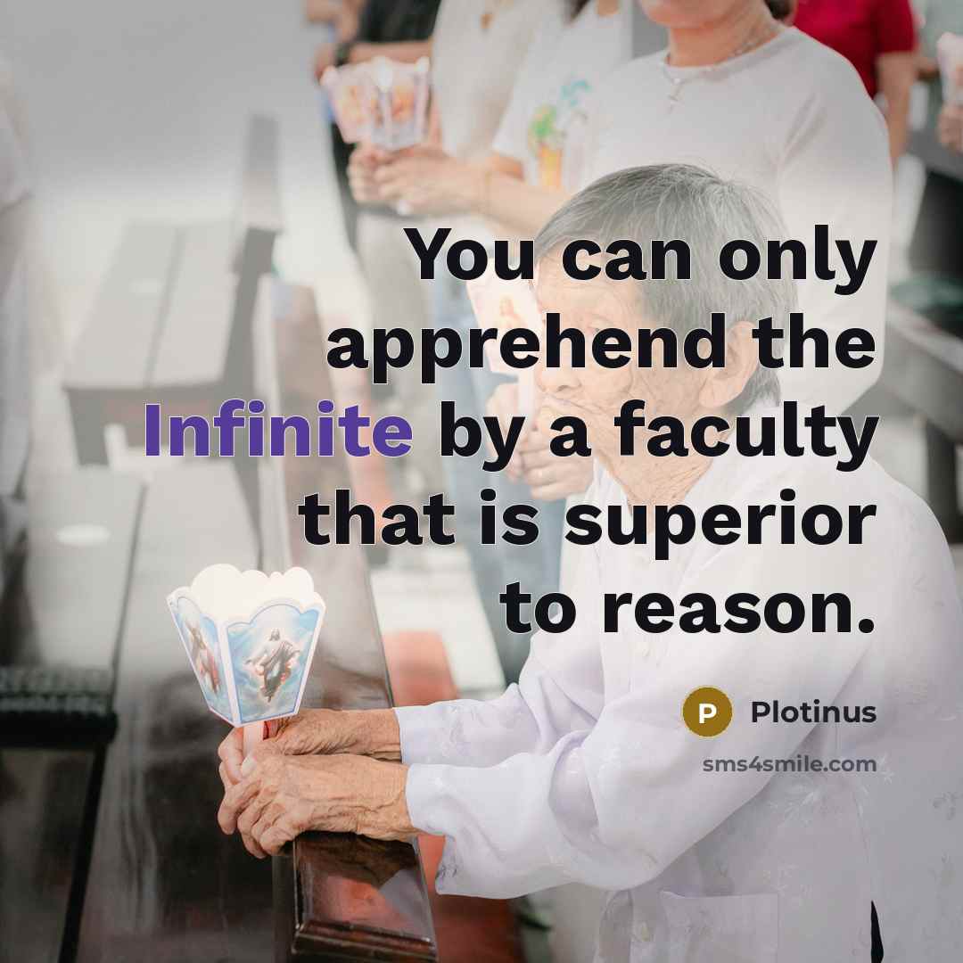 “You can only apprehend the Infinite by a faculty that is superior to reason.” quote by Plotinus