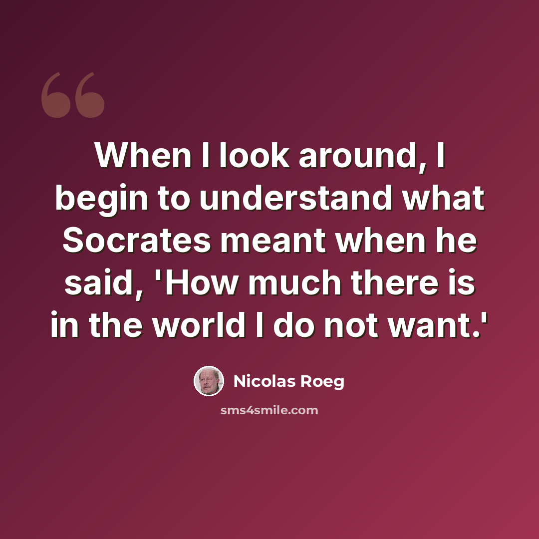 “When I look around, I begin to understand what Socrates meant when he said, 'How much there is in the world I do not want.'” quote by Nicolas Roeg