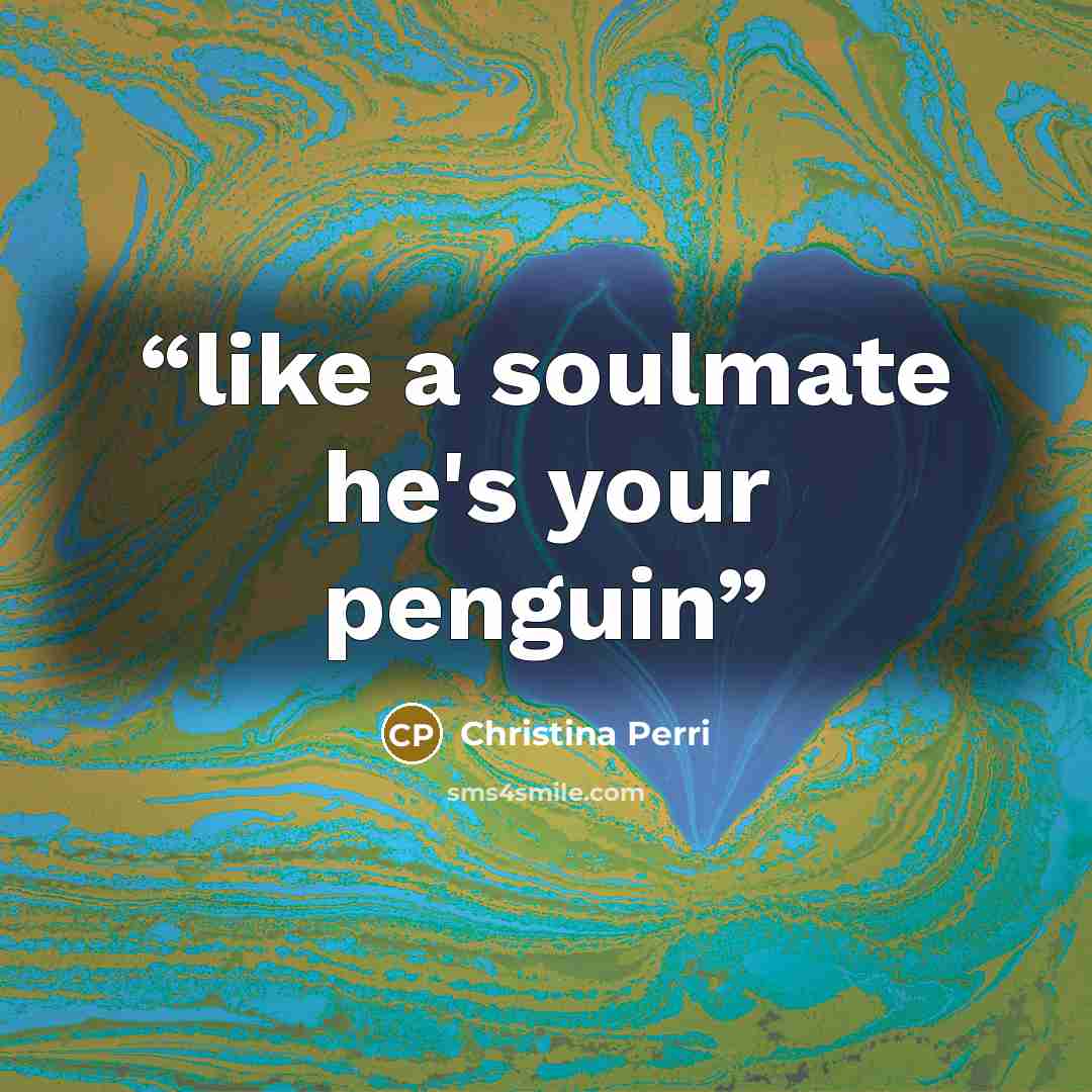 “like a soulmate he's your penguin” quote by Christina Perri