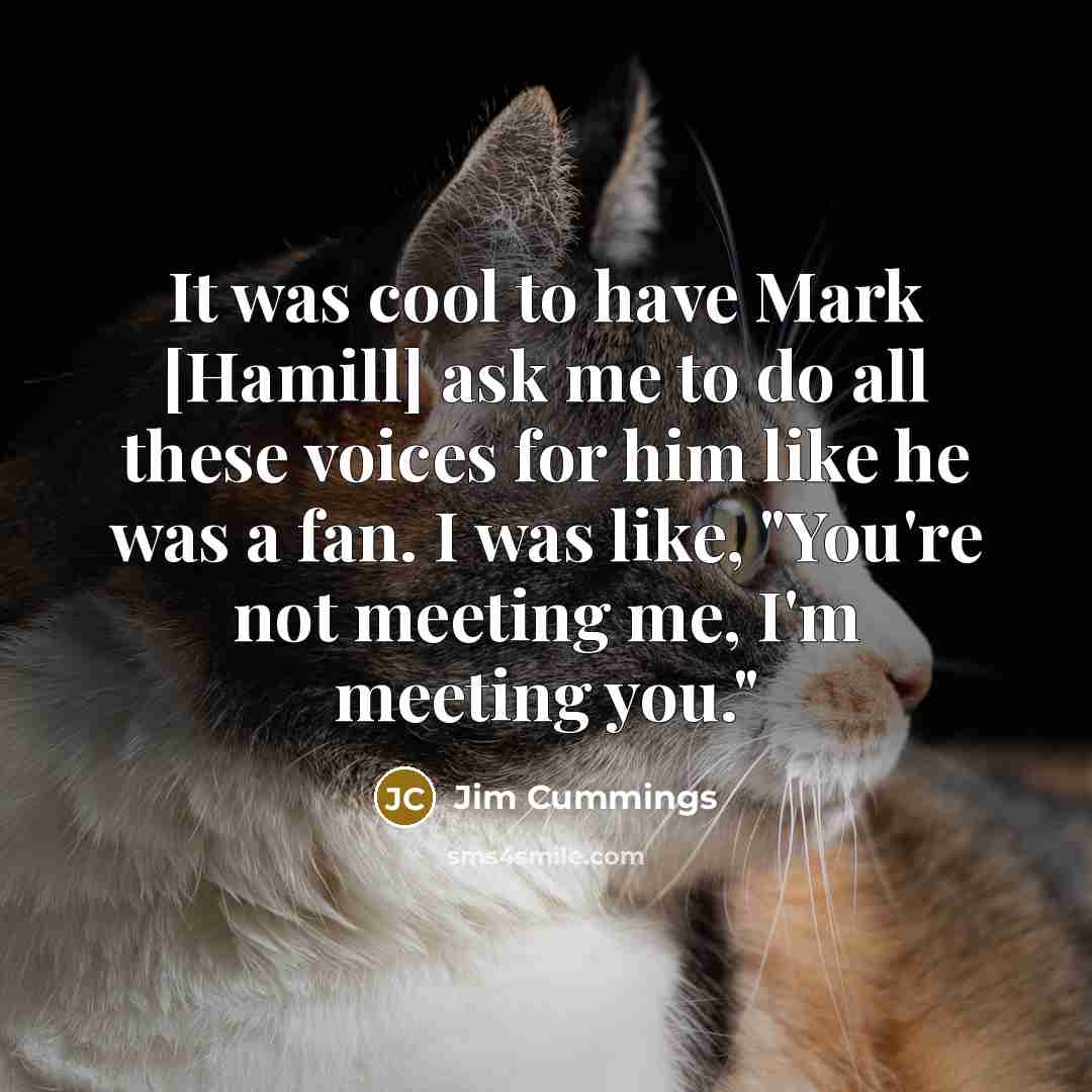 “It was cool to have Mark [Hamill] ask me to do all these voices for him like he was a fan. I was like, "You're not meeting me, I'm meeting you."” quote by Jim Cummings
