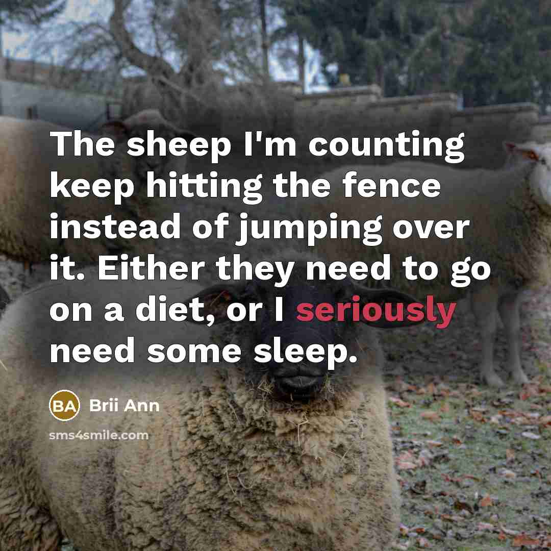 “The sheep I'm counting keep hitting the fence instead of jumping over it. Either they need to go on a diet, or I seriously need some sleep.” quote by Brii Ann