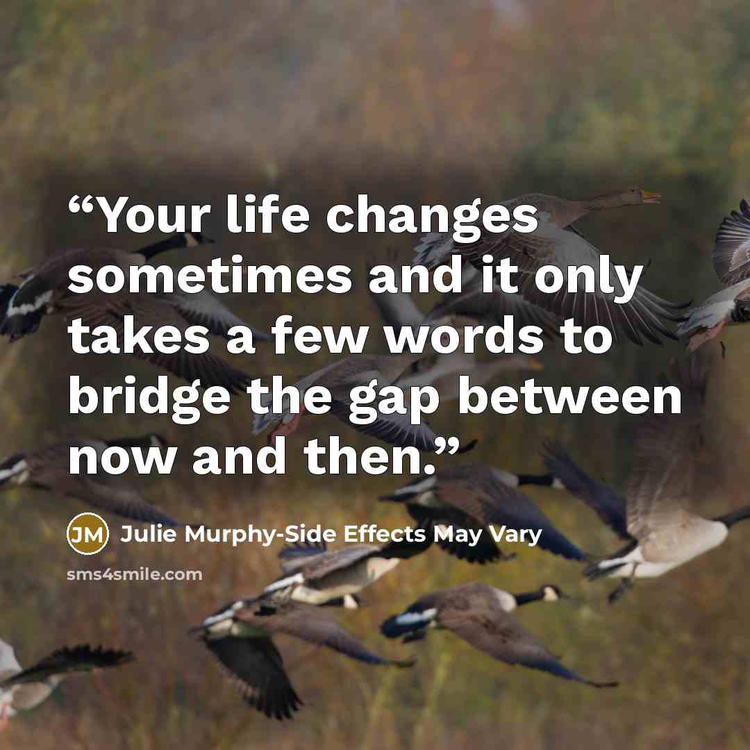 “Your life changes sometimes and it only takes a few words to bridge the gap between now and then.” quote by Julie Murphy-Side Effects May Vary