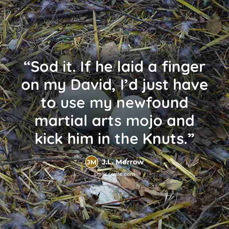 “Sod it. If he laid a finger on my David, I’d just have to use my newfound martial arts mojo and kick him in the Knuts.” quote by J.L. Merrow