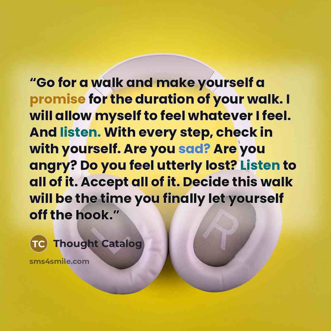 “Go for a walk and make yourself a promise for the duration of your walk. I will allow myself to feel whatever I feel. And listen. With every step, check in with yourself. Are you sad? Are you angry? Do you feel utterly lost? Listen to all of it. Accept all of it. Decide this walk will be the time…” quote by Thought Catalog