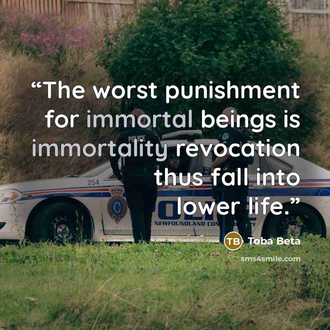 “The worst punishment for immortal beings is immortality revocation thus fall into lower life.” quote by Toba Beta