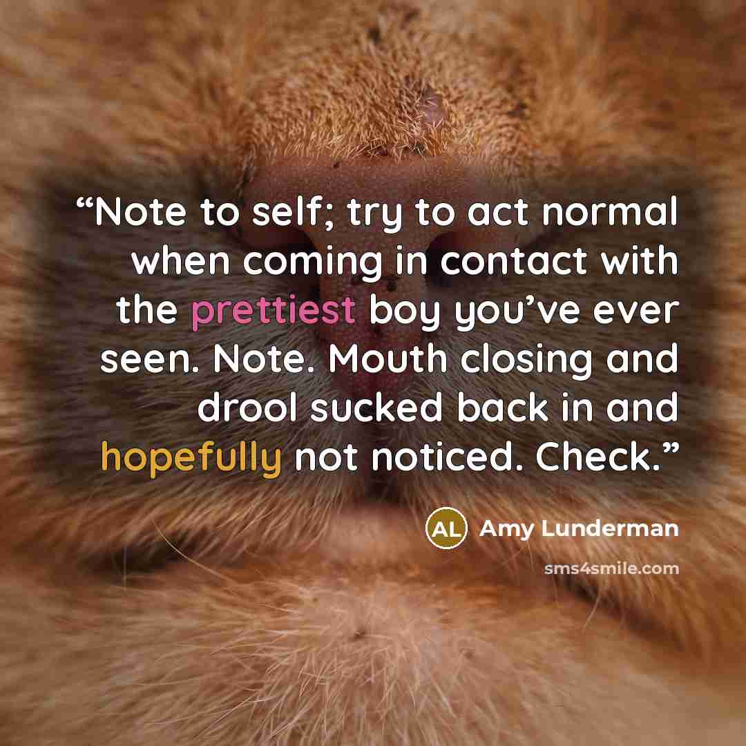 “Note to self; try to act normal when coming in contact with the prettiest boy you’ve ever seen. Note. Mouth closing and drool sucked back in and hopefully not noticed. Check.” quote by Amy Lunderman
