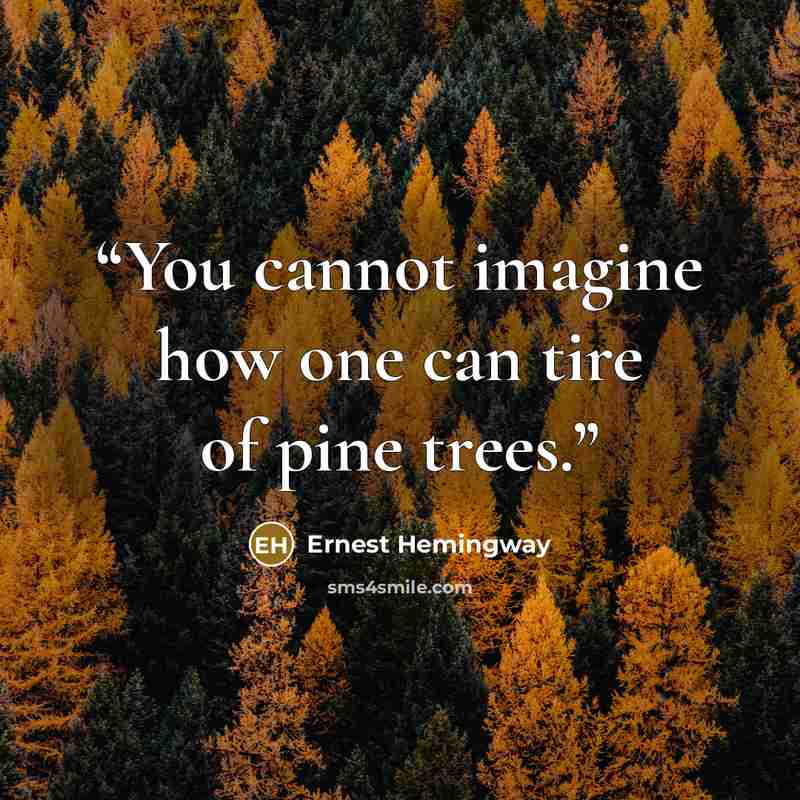 “You cannot imagine how one can tire of pine trees.” quote by Ernest Hemingway