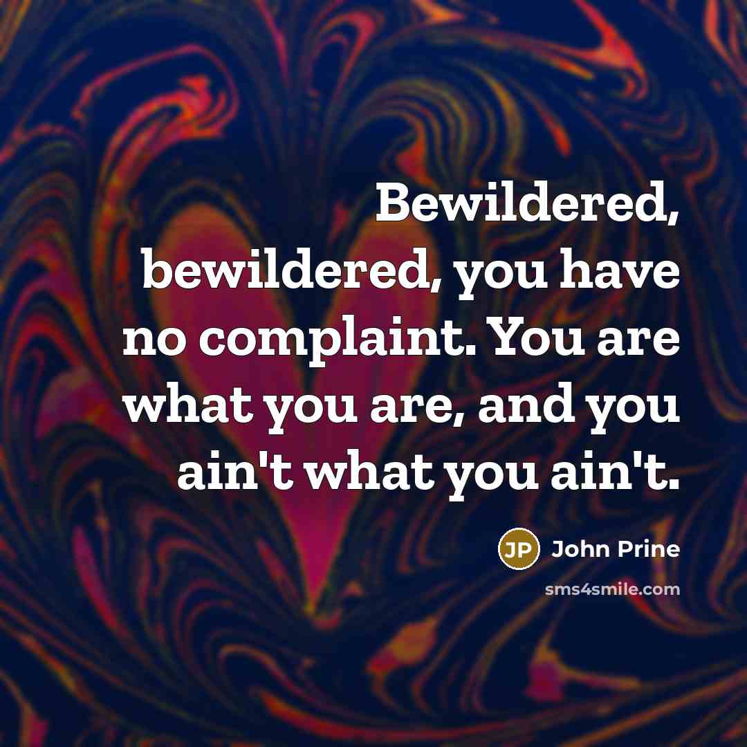 “Bewildered, bewildered, you have no complaint. You are what you are, and you ain't what you ain't.” quote by John Prine