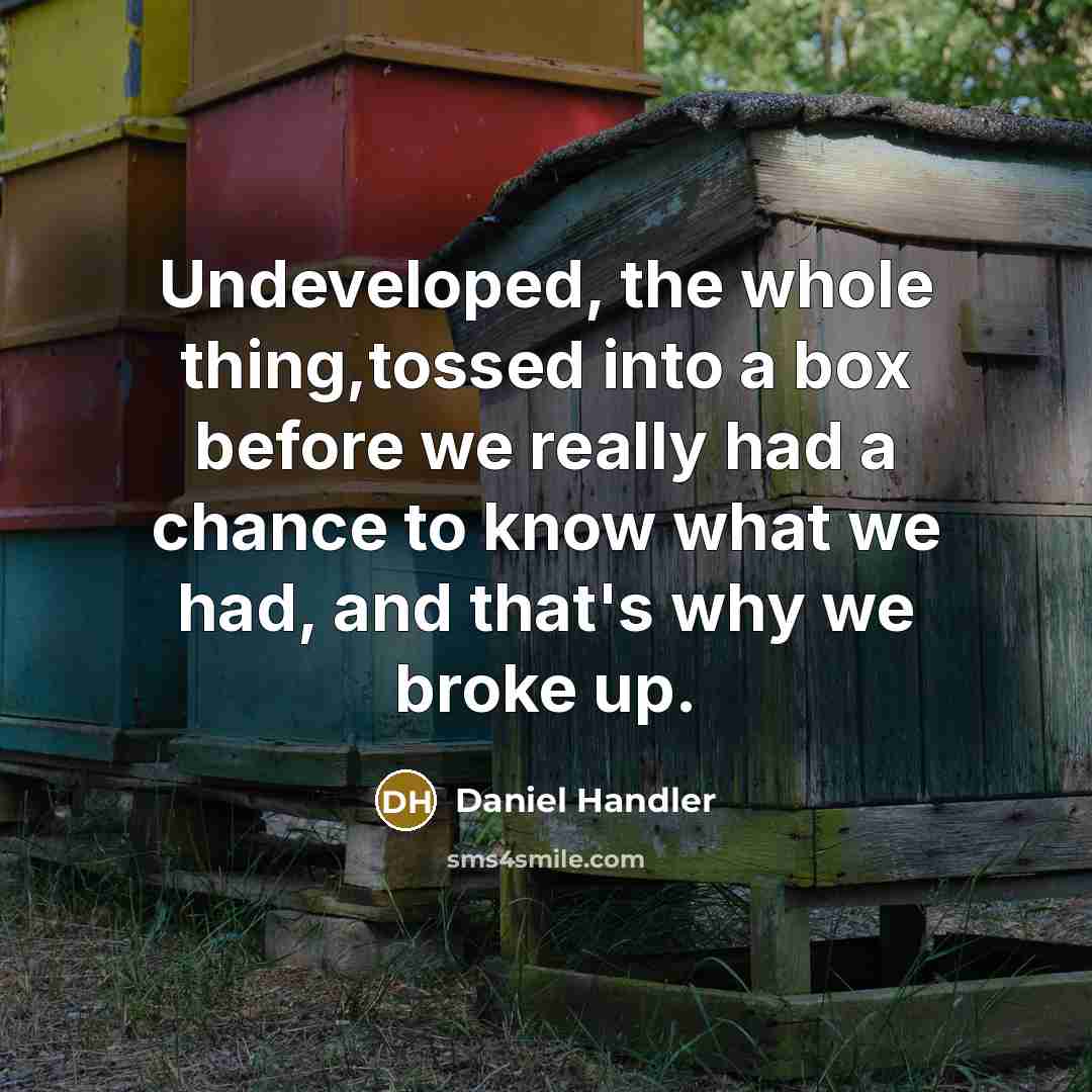 “Undeveloped, the whole thing,tossed into a box before we really had a chance to know what we had, and that's why we broke up.” quote by Daniel Handler