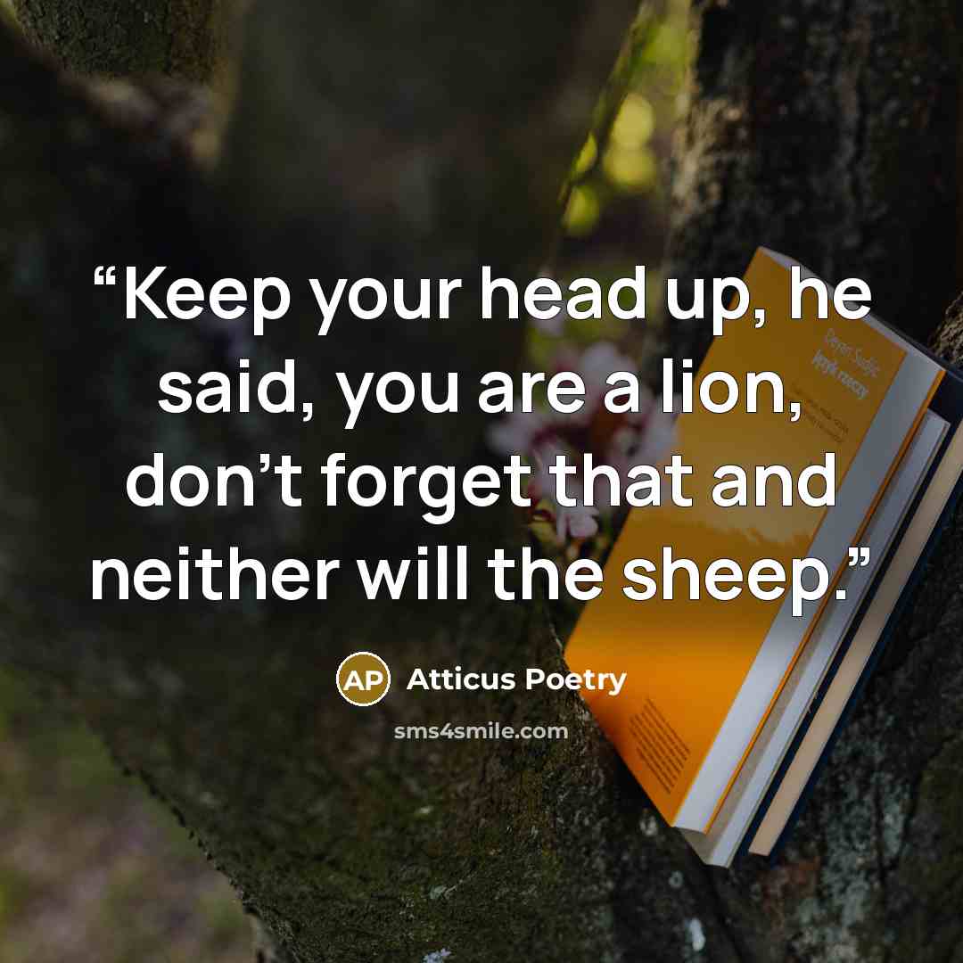 “Keep your head up, he said, you are a lion, don’t forget that and neither will the sheep.” quote by Atticus Poetry