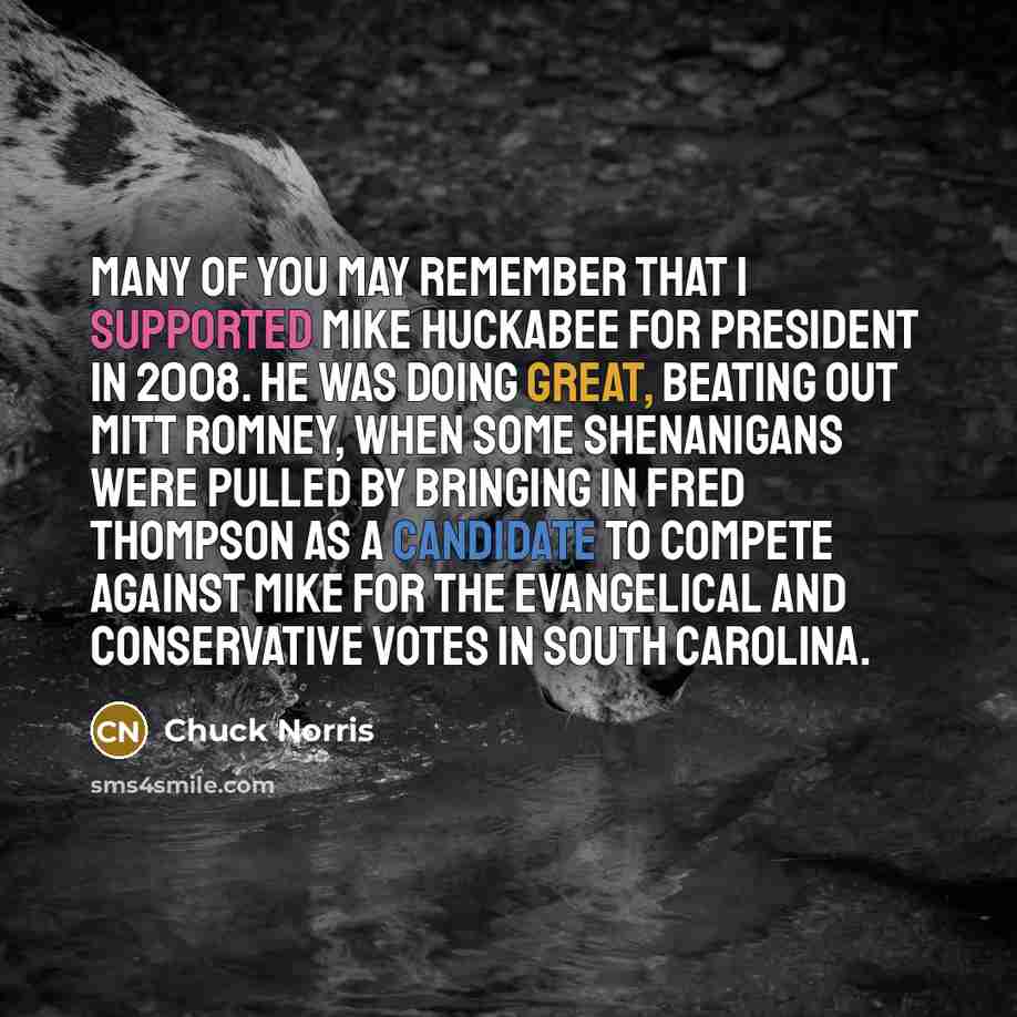 “Many of you may remember that I supported Mike Huckabee for president in 2008. He was doing great, beating out Mitt Romney, when some shenanigans were pulled by bringing in Fred Thompson as a candidate to compete against Mike for the evangelical and conservative votes in South Carolina.” quote by Chuck Norris