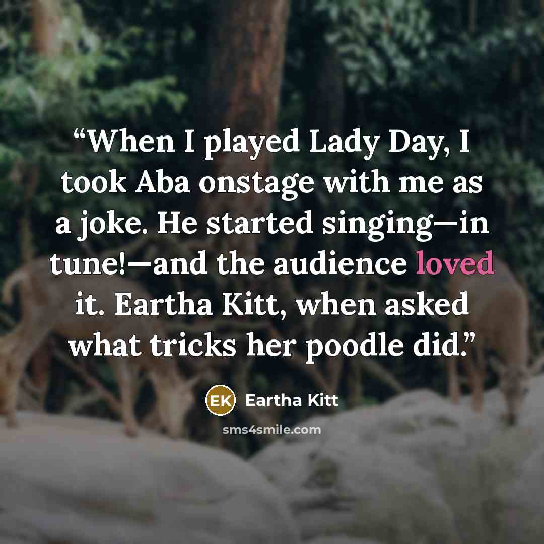 “When I played Lady Day, I took Aba onstage with me as a joke. He started singing—in tune!—and the audience loved it. Eartha Kitt, when asked what tricks her poodle did.” quote by Eartha Kitt