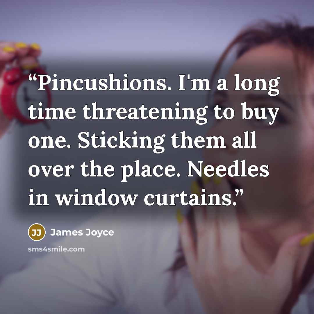 “Pincushions. I'm a long time threatening to buy one. Sticking them all over the place. Needles in window curtains.” quote by James Joyce