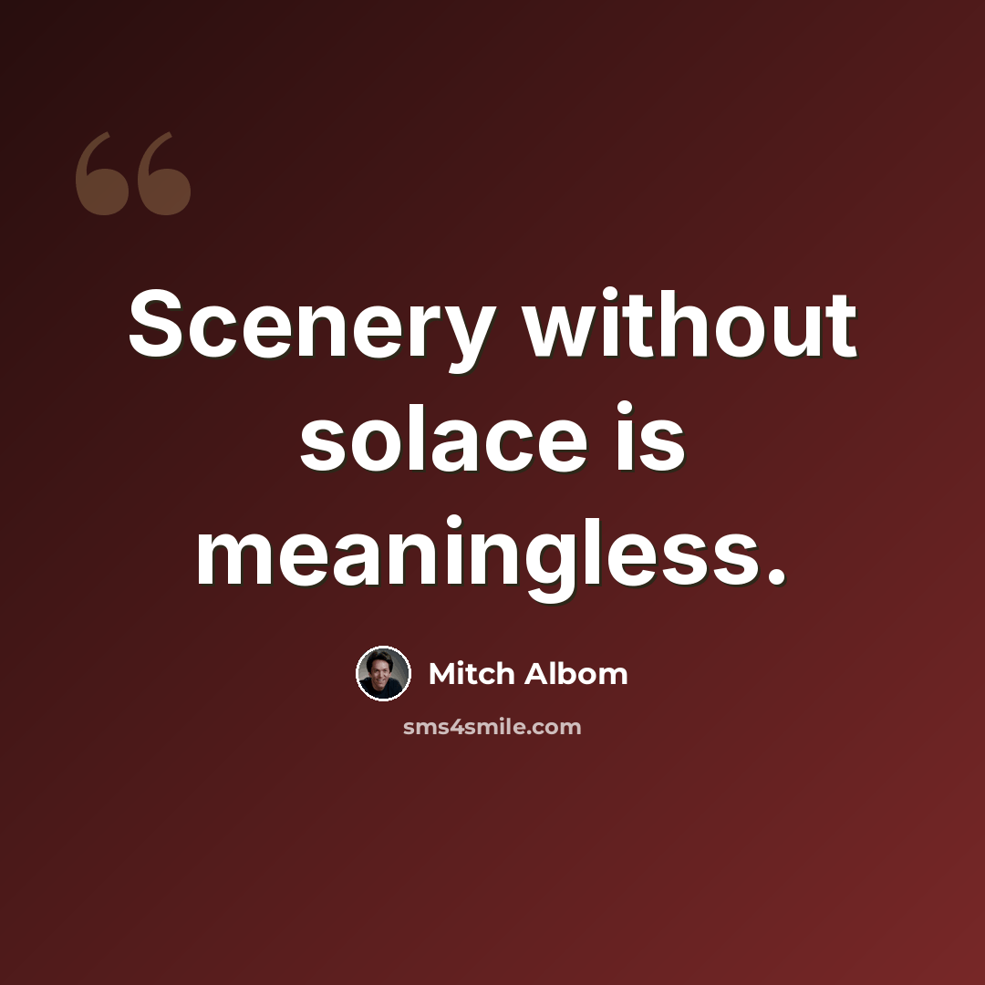 “Scenery without solace is meaningless.” quote by Mitch Albom