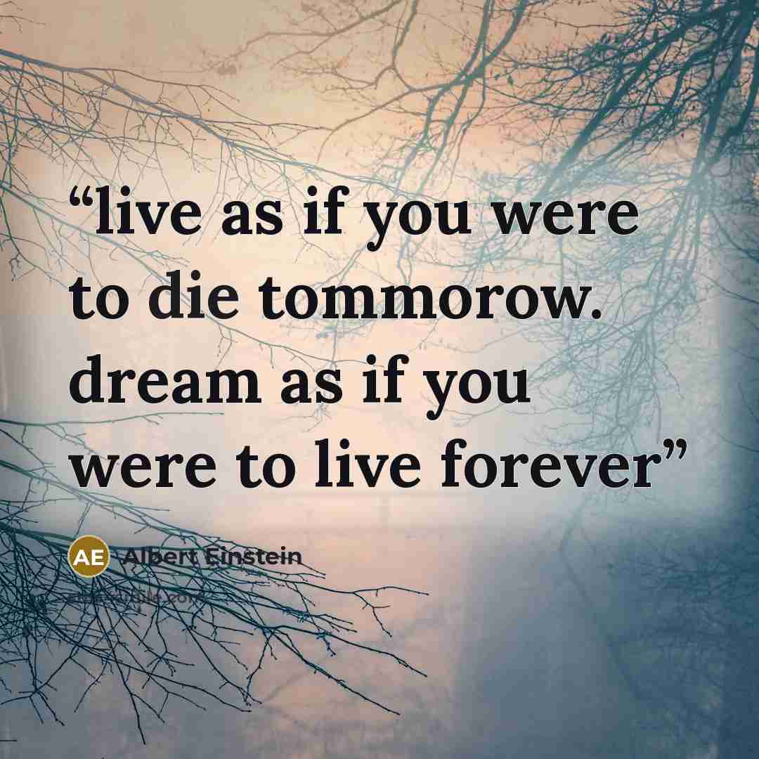 “live as if you were to die tommorow. dream as if you were to live forever” quote by Albert Einstein