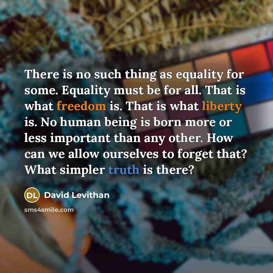 “There is no such thing as equality for some. Equality must be for all. That is what freedom is. That is what liberty is. No human being is born more or less important than any other. How can we allow ourselves to forget that? What simpler truth is there?” quote by David Levithan