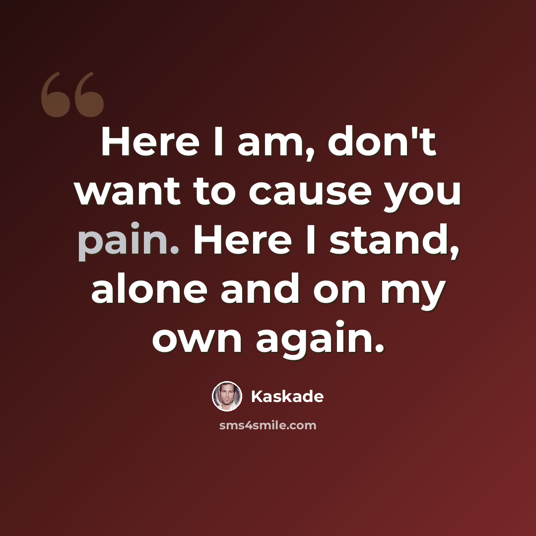“Here I am, don't want to cause you pain. Here I stand, alone and on my own again.” quote by Kaskade