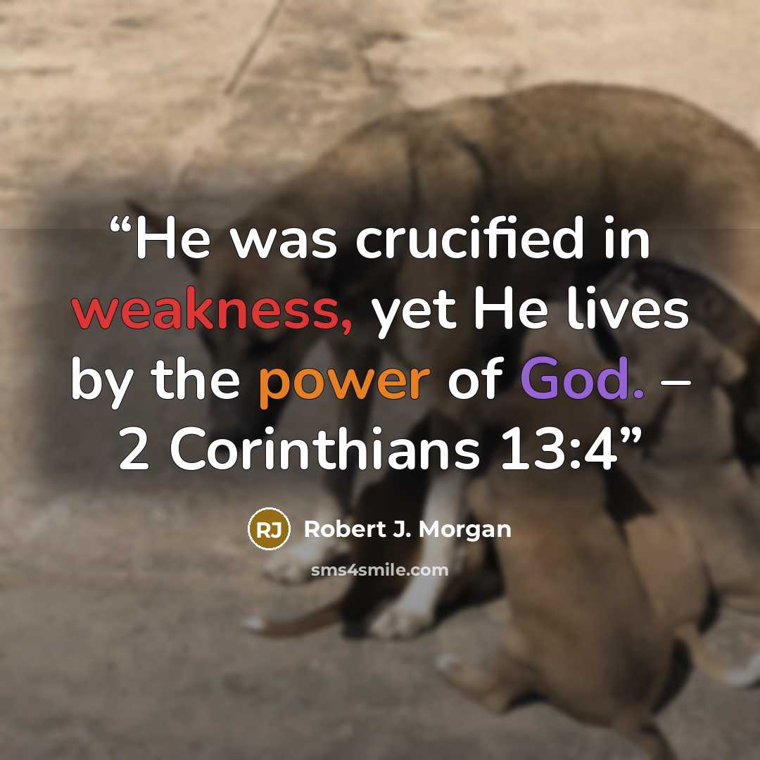 “He was crucified in weakness, yet He lives by the power of God. – 2 Corinthians 13:4” quote by Robert J. Morgan