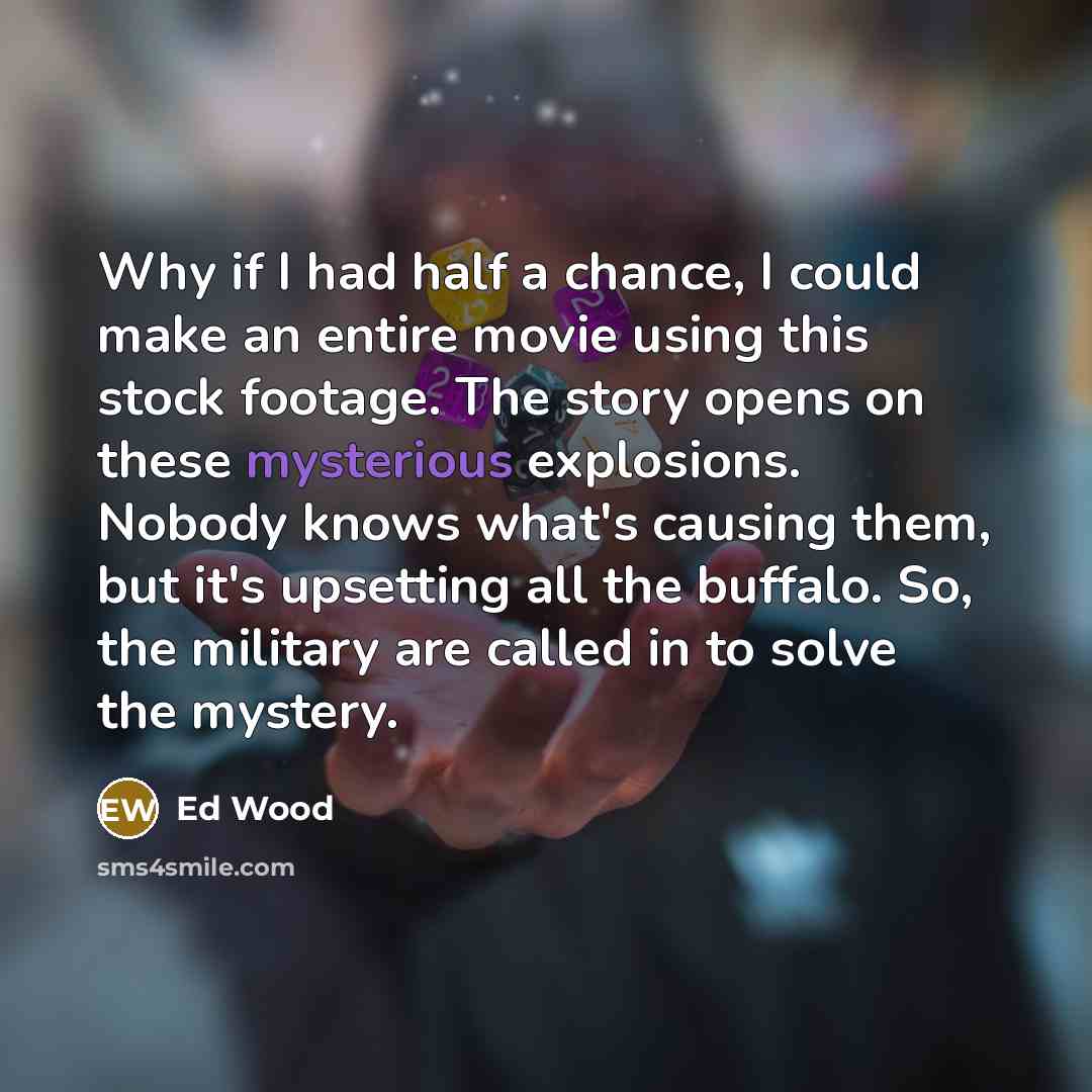 “Why if I had half a chance, I could make an entire movie using this stock footage. The story opens on these mysterious explosions. Nobody knows what's causing them, but it's upsetting all the buffalo. So, the military are called in to solve the mystery.” quote by Ed Wood