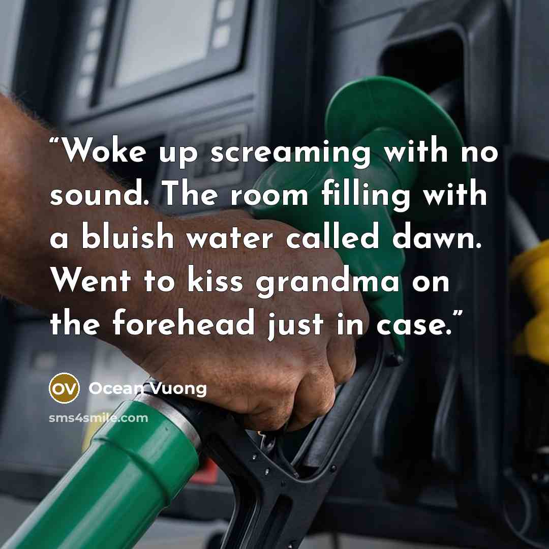 “Woke up screaming with no sound. The room filling with a bluish water called dawn. Went to kiss grandma on the forehead just in case.” quote by Ocean Vuong
