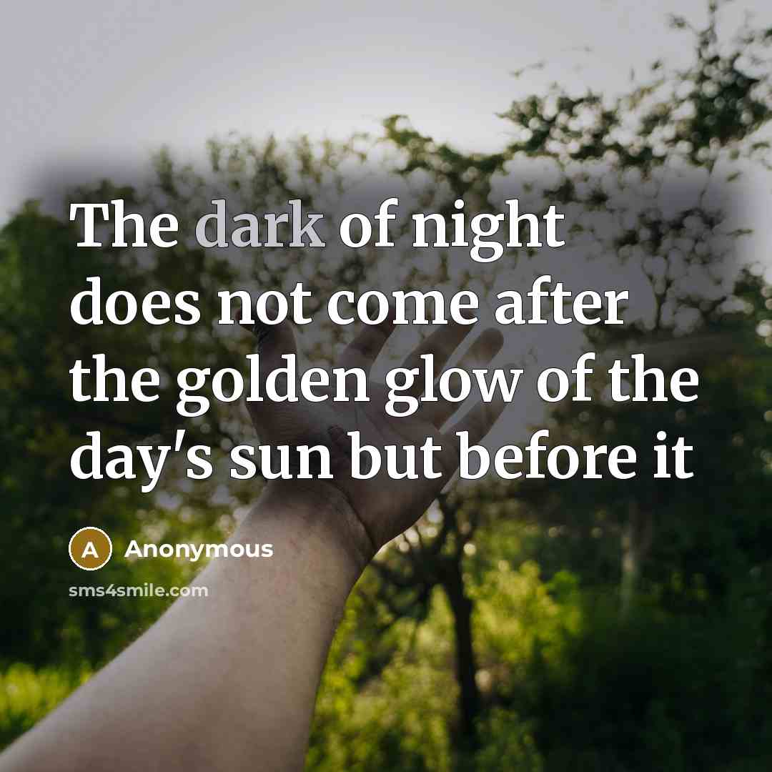“The dark of night does not come after the golden glow of the day's sun but before it” quote by Anonymous