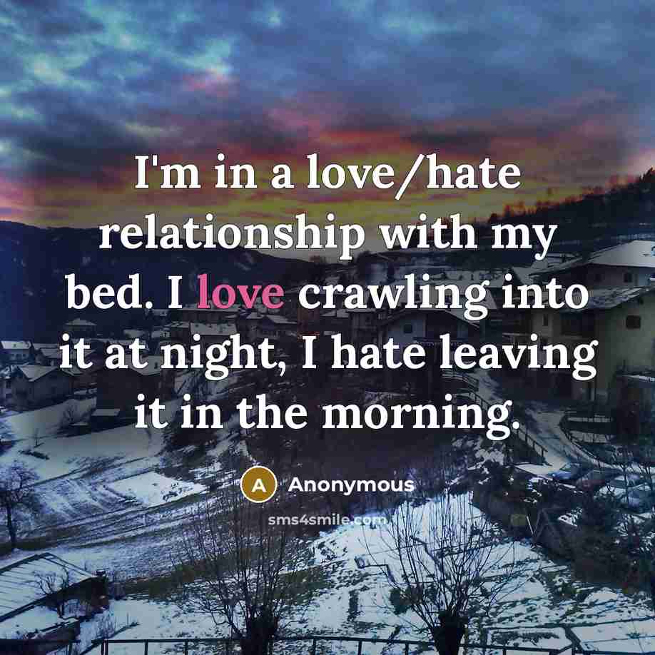“I'm in a love/hate relationship with my bed. I love crawling into it at night, I hate leaving it in the morning.” quote by Anonymous