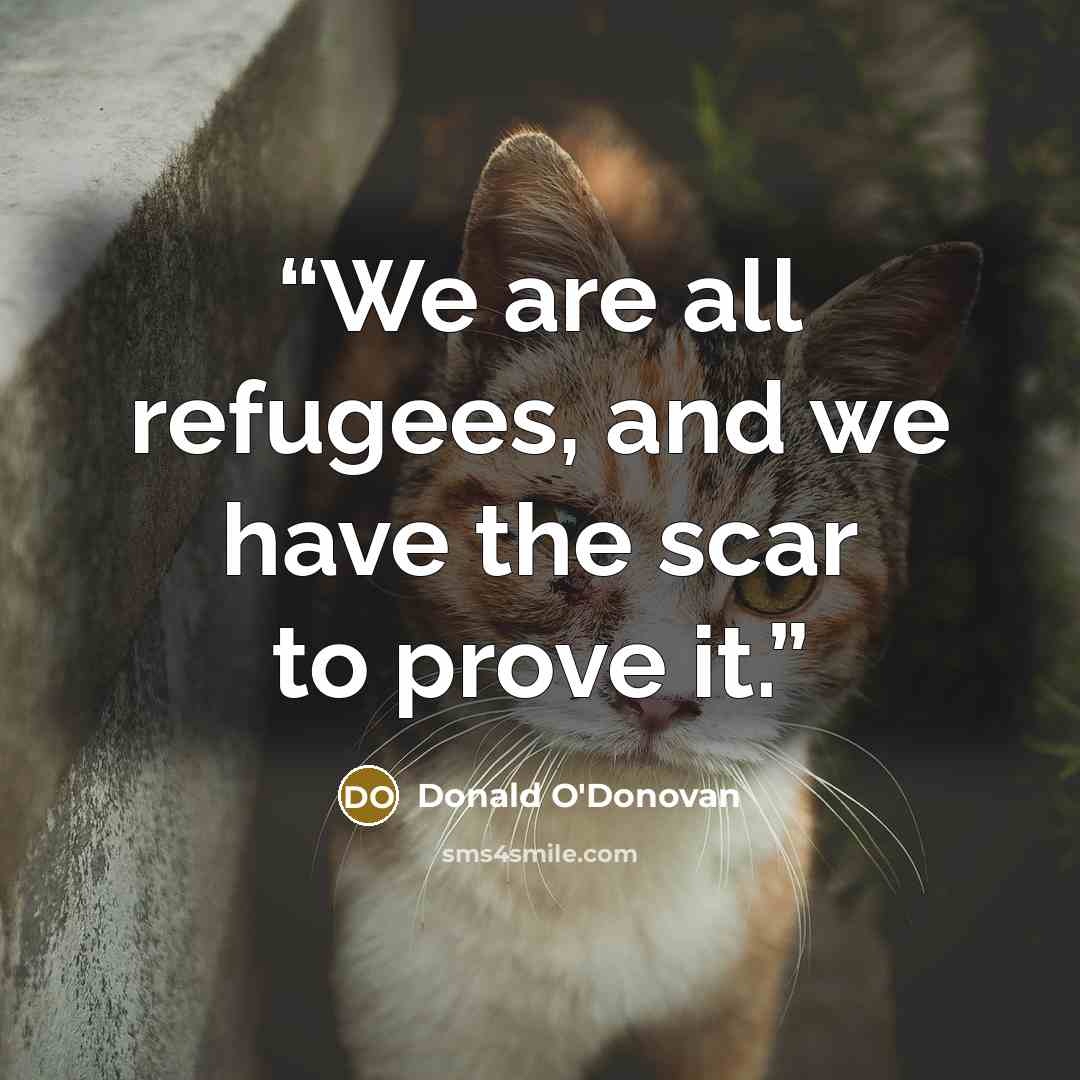 “We are all refugees, and we have the scar to prove it.” quote by Donald O'Donovan