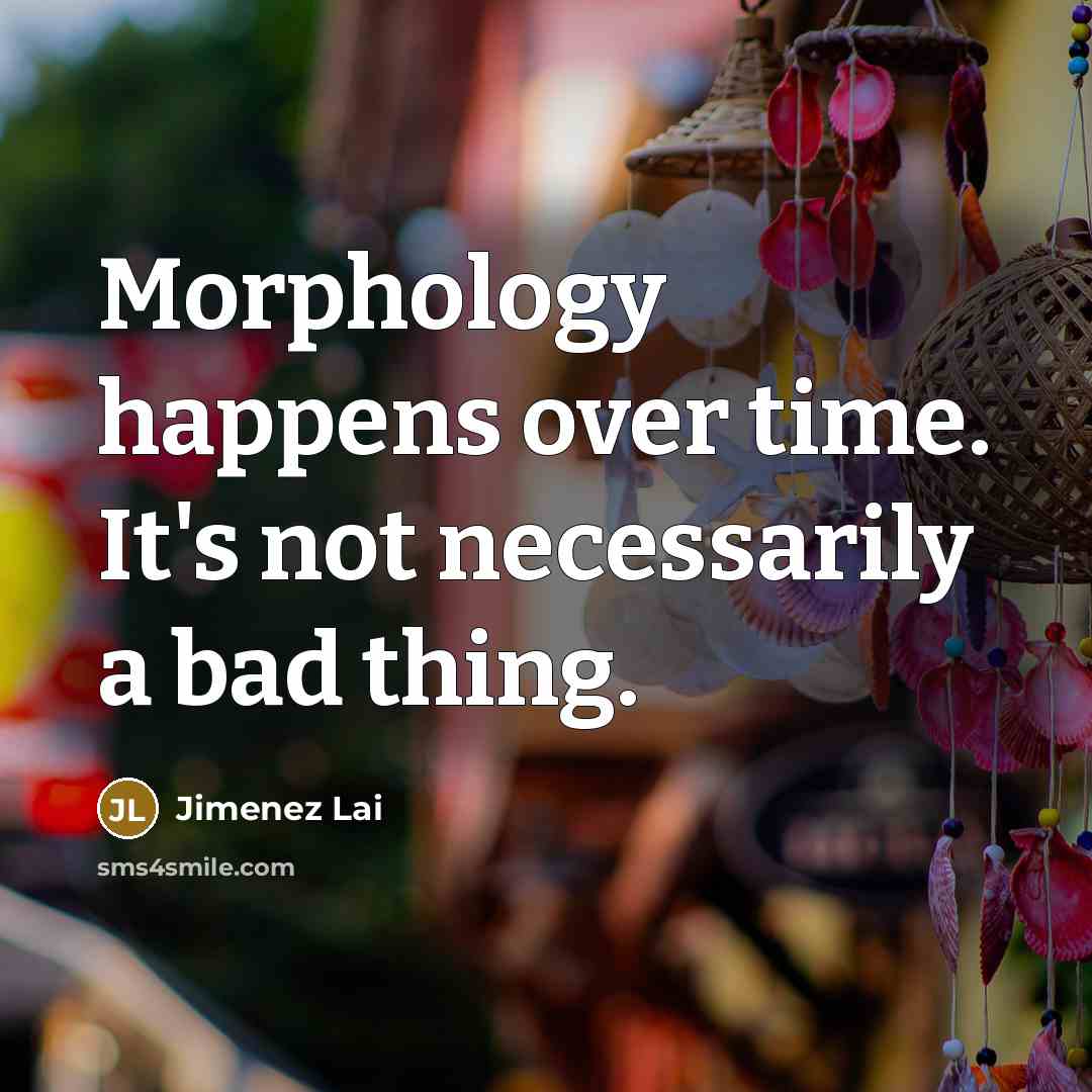“Morphology happens over time. It's not necessarily a bad thing.” quote by Jimenez Lai