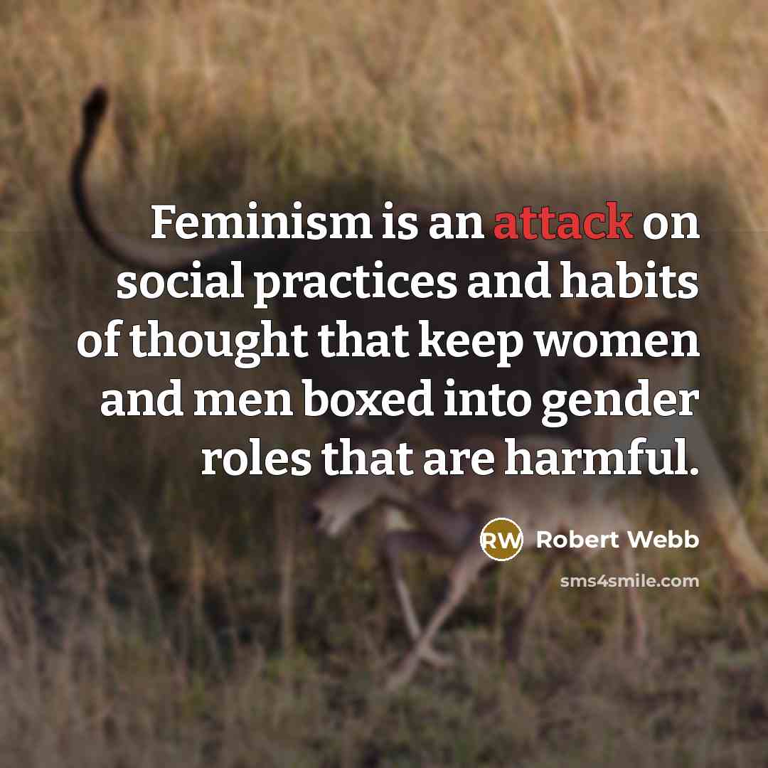 “Feminism is an attack on social practices and habits of thought that keep women and men boxed into gender roles that are harmful.” quote by Robert Webb