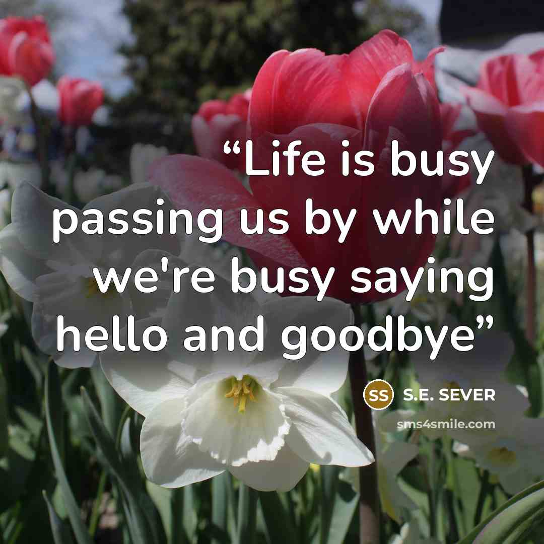 “Life is busy passing us by while we're busy saying hello and goodbye” quote by S.E. SEVER