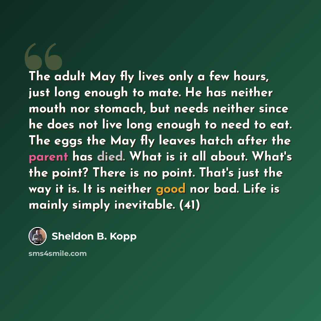 “The adult May fly lives only a few hours, just long enough to mate. He has neither mouth nor stomach, but needs neither since he does not live long enough to need to eat. The eggs the May fly leaves hatch after the parent has died. What is it all about. What's the point? There is no point. That's…” quote by Sheldon B. Kopp