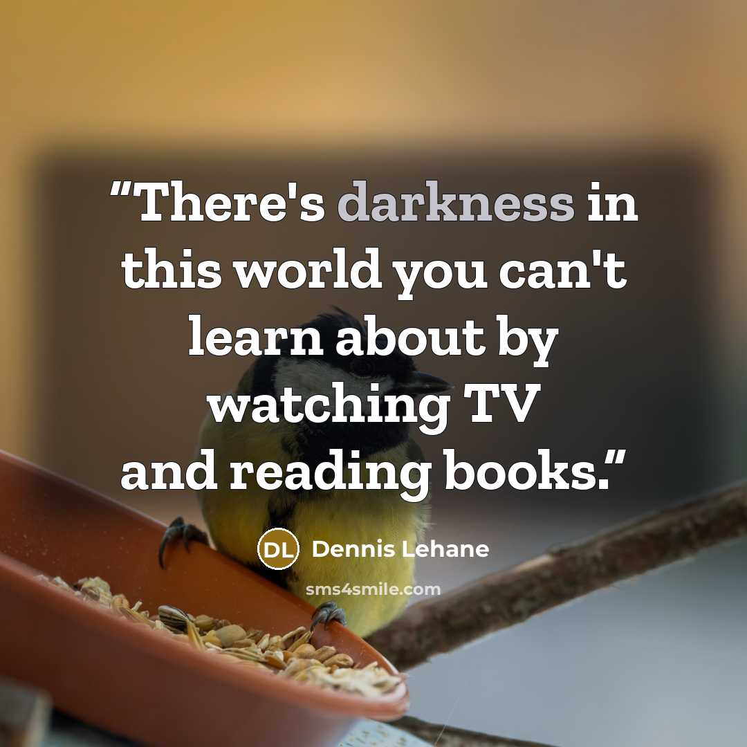 “There's darkness in this world you can't learn about by watching TV and reading books.” quote by Dennis Lehane
