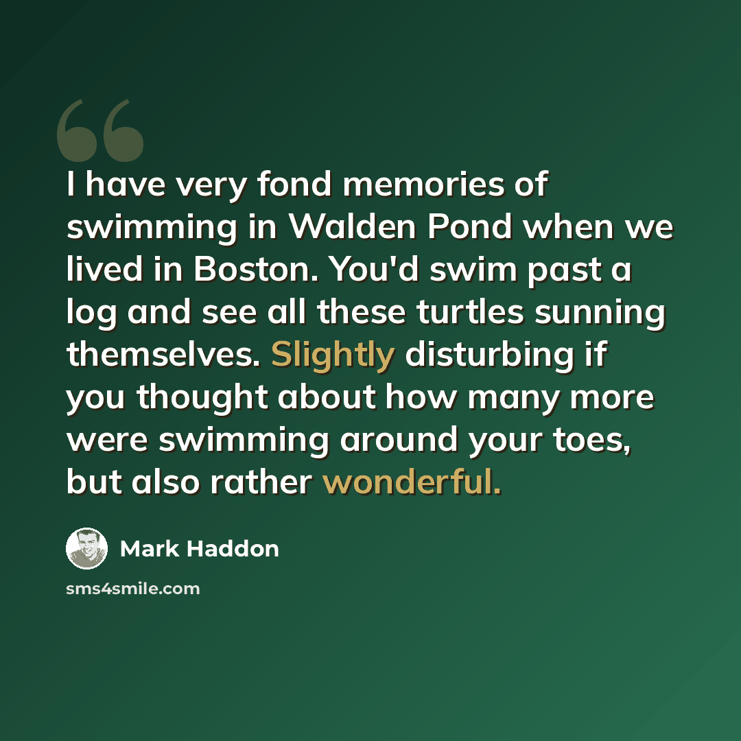 “I have very fond memories of swimming in Walden Pond when we lived in Boston. You'd swim past a log and see all these turtles sunning themselves. Slightly disturbing if you thought about how many more were swimming around your toes, but also rather wonderful.” quote by Mark Haddon