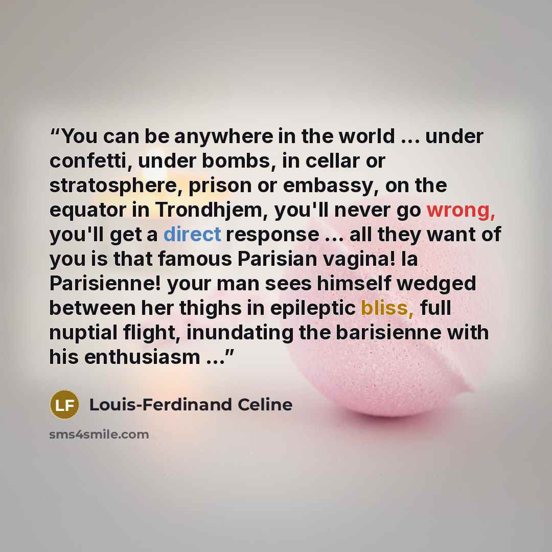 “You can be anywhere in the world ... under confetti, under bombs, in cellar or stratosphere, prison or embassy, on the equator in Trondhjem, you'll never go wrong, you'll get a direct response ... all they want of you is that famous Parisian vagina! la Parisienne! your man sees himself wedged…” quote by Louis-Ferdinand Céline