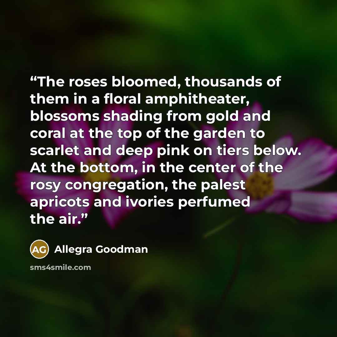 “The roses bloomed, thousands of them in a floral amphitheater, blossoms shading from gold and coral at the top of the garden to scarlet and deep pink on tiers below. At the bottom, in the center of the rosy congregation, the palest apricots and ivories perfumed the air.” quote by Allegra Goodman