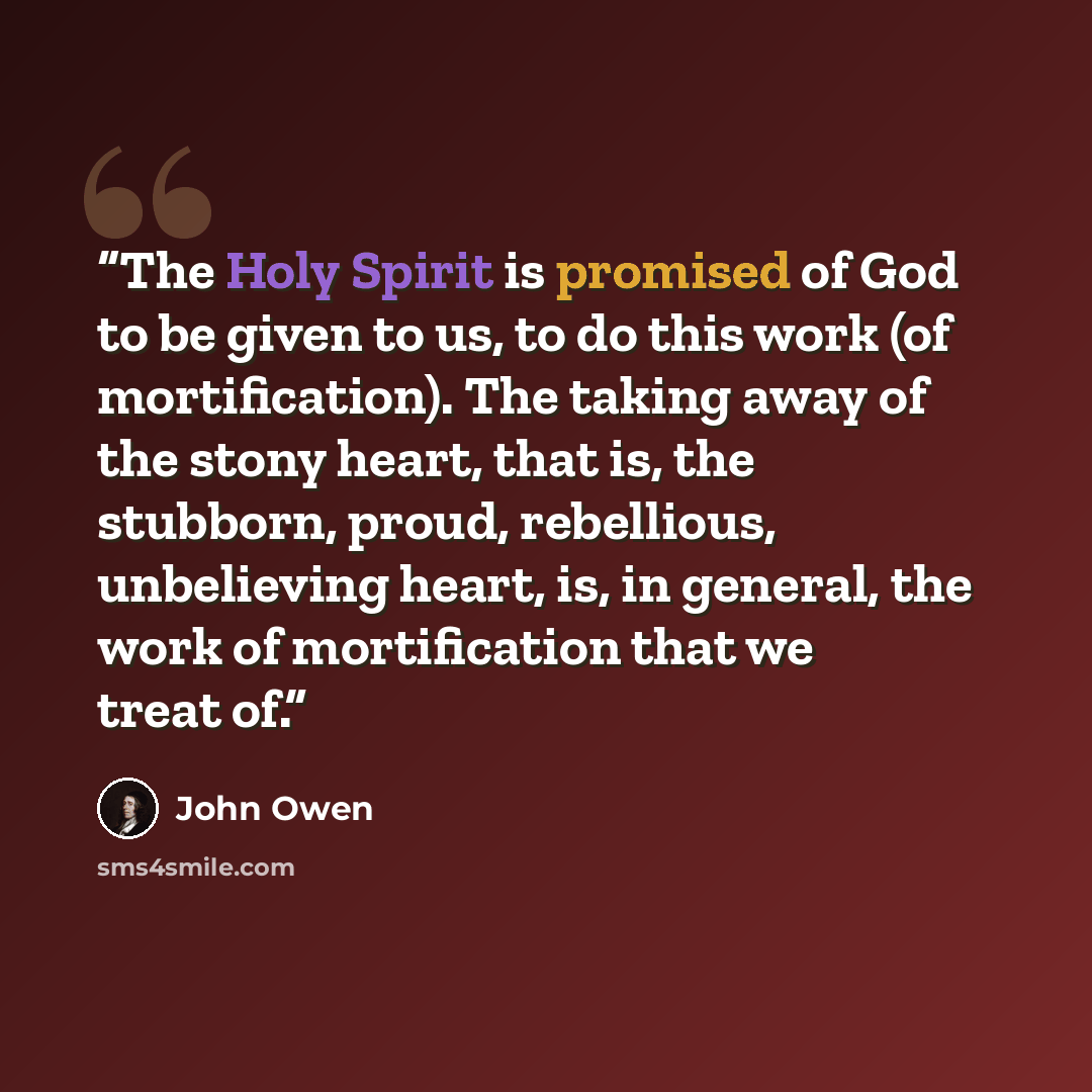 “The Holy Spirit is promised of God to be given to us, to do this work (of mortification). The taking away of the stony heart, that is, the stubborn, proud, rebellious, unbelieving heart, is, in general, the work of mortification that we treat of.” quote by John Owen