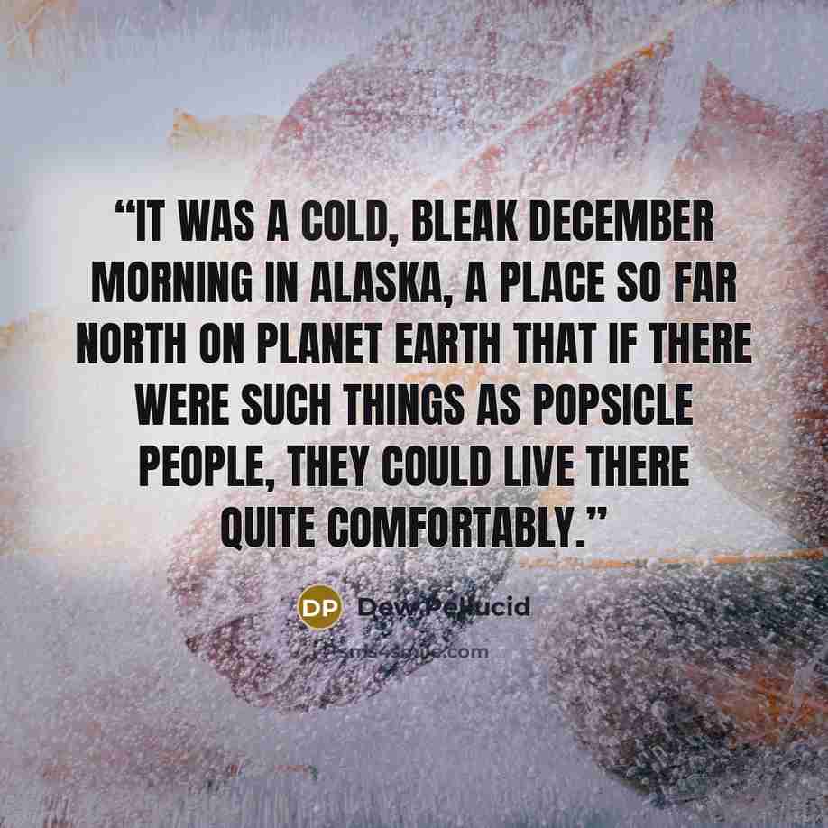“It was a cold, bleak December morning in Alaska, a place so far north on planet Earth that if there were such things as popsicle people, they could live there quite comfortably.” quote by Dew Pellucid
